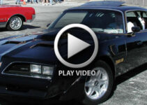 Big Block Burnout 77 Firebird – Video