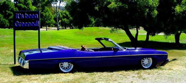 10733619_753747758038040_946041012_n